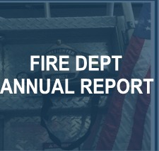 Annual Report Button