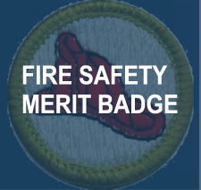 Merit Badge Button