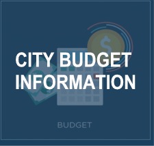 Budget Button