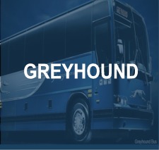 Greyhound Button