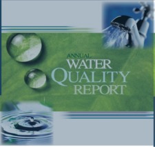 Water Quality Button