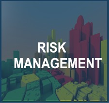 Risk Management