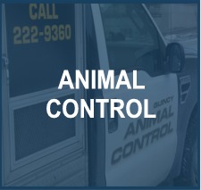 Button_AnimalControljpg